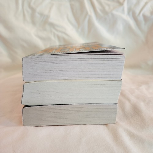 James Patterson Lot 3 Paperback Thriller Books Don't Blink, Beach House, Never - Imagen 4 de 6