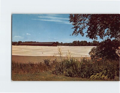 Postcard Typical Tobacco Farm Connecticut River Valley