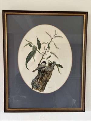 Schönes gerahmtes Aquarell Gemälde einer Weidenmeise auf einem Ast Anthea Lycett