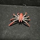 Spider .999 Silver 21.7 grams Hand Poured Figurine ￼