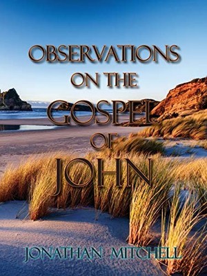 Observations on the Gospel of John, Mitchell, Jonathan 