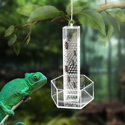 Chameleon Feeding Bowl, Hanging Transparent Acrylic Bearded 