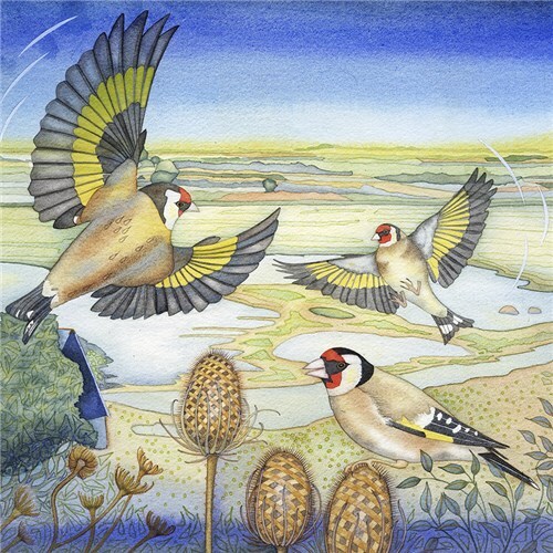 Goldfinches on Teasels - Fine Art Blank Greeting / Birthday Card - Garden Birds