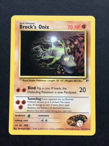 Brock's Onix (21)
