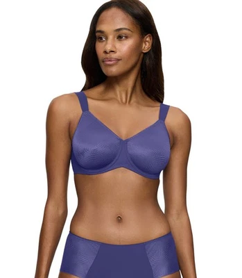 Triumph Essential Minimizer T W X BH