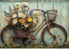 5D Diamond Painting Kits for Adults,Bicycle Diamond Art Kits for Adults Begin...