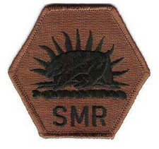 100 US ARMY California State Military Reserve Army Nationalgarde Bdu patch Green