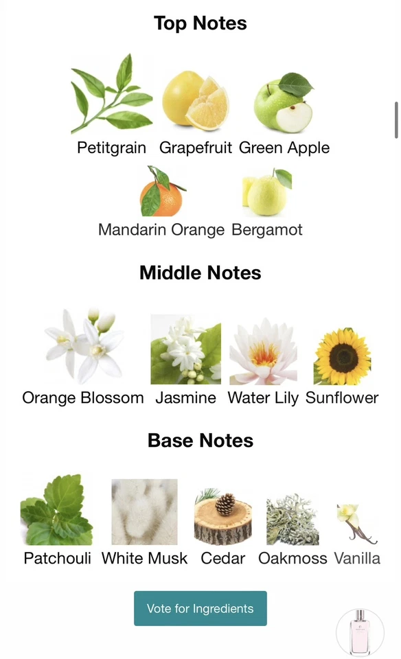 Aigner Debut Début Eau de Parfum 3.4 OZ / 100 ml EDP Spray - TOTALMENTE NUEVO SIN CAJA Foto 4 de 4