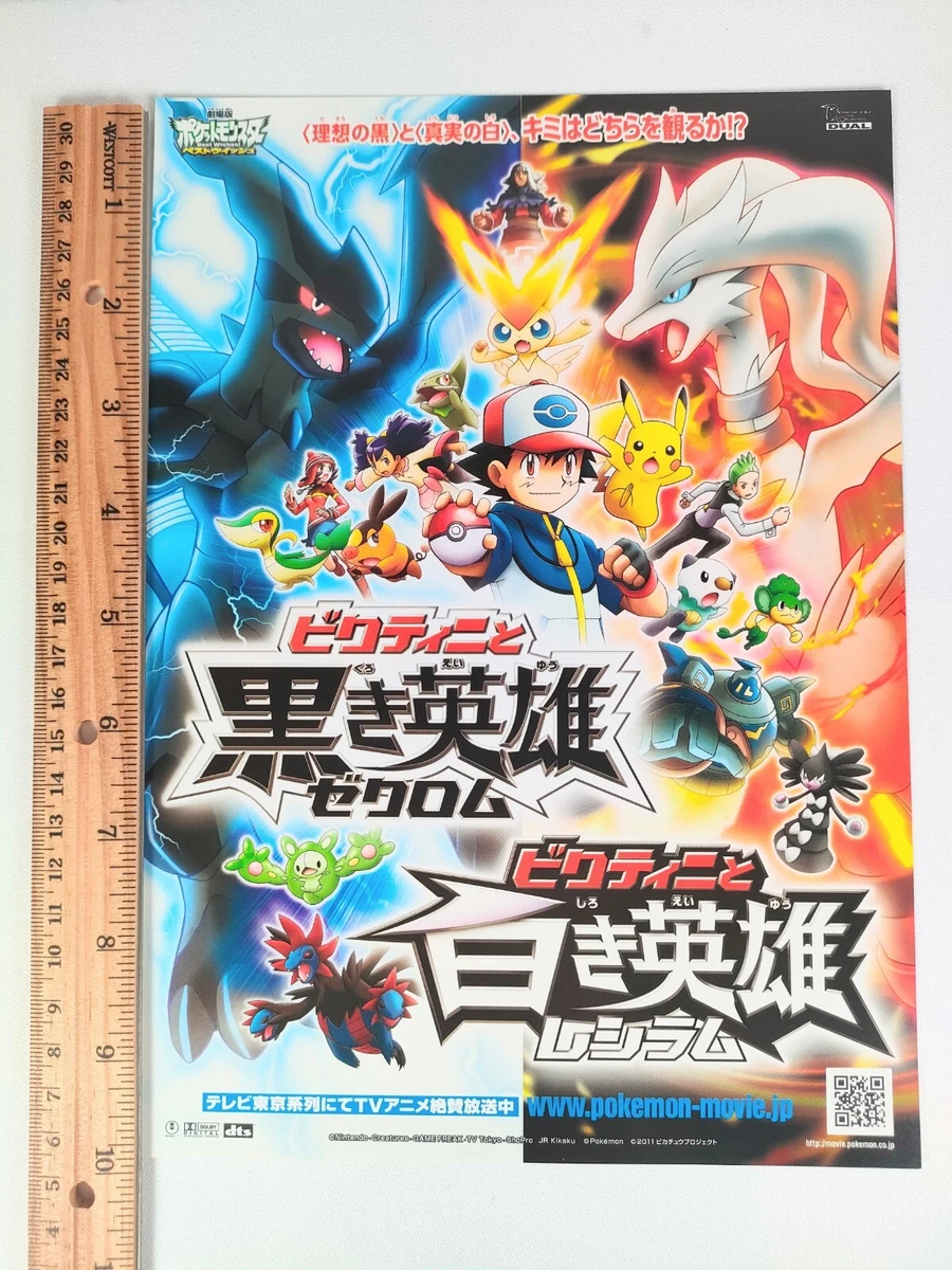 Pokemon Zekrom Reshiram 16