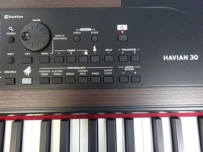 Korg Havian 30 Digital Ensemble Piano | eBay