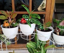 4 Pack Of Self Watering Spikes Mushroom Shaped Multicolor Watering Globes