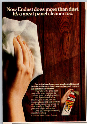 1977 Print Ad  Endust Does More Than Dust Its a Great Panel Cleaner Too