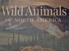 Choose One -Wild Animals of North America Vtg HC w/ DJ & DJ Cover Nat. Geo.