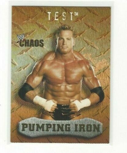 Test 2004 Fleer WWE Chaos #90 PI Wrestling