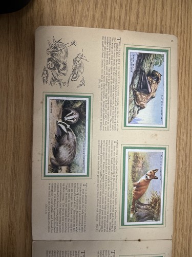 CIGARETTE CARD ALBUM COMPLETE/ ANIMALS OF THE COUNTRYSIDE/ JOHN PLAYER & SONS - Picture 7 of 19