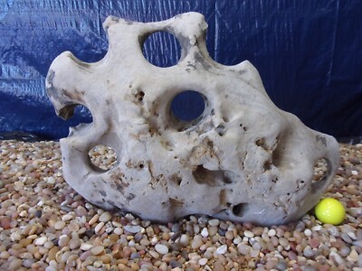 30# Texas/TN Holey Rock 14''x18''x04'' Aquarium Reptile Honeycomb Limestone