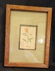 Framed Double Matted Original Floral Color Drawing - Signed/Dated  Roxie 82 — photo 1