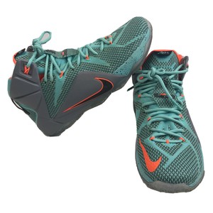 lebron james 12 shoes