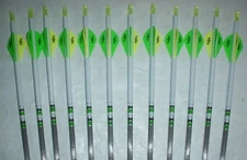 12 Gold Tip XT Hunter 300 Carbon Arrows! Custom White Dip Crest/Blazer Vanes