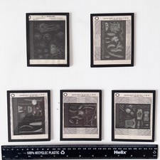 Antique Botanical Magic Lantern Slides c1900, University of Minnesota, Set of 5