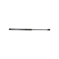 Gasfeder Koffer-/Laderaum Hub 199 Mm 530 N Triscan FüR Ford Focus