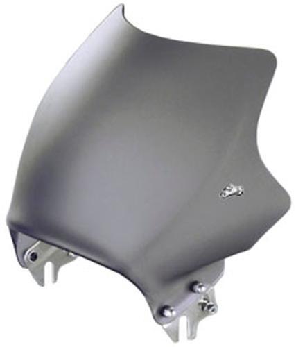 Cupolino Grigio Opaco R1100R R1150R R850R 2000 2001 2002 2003 2004 2005 - Foto 1 di 4