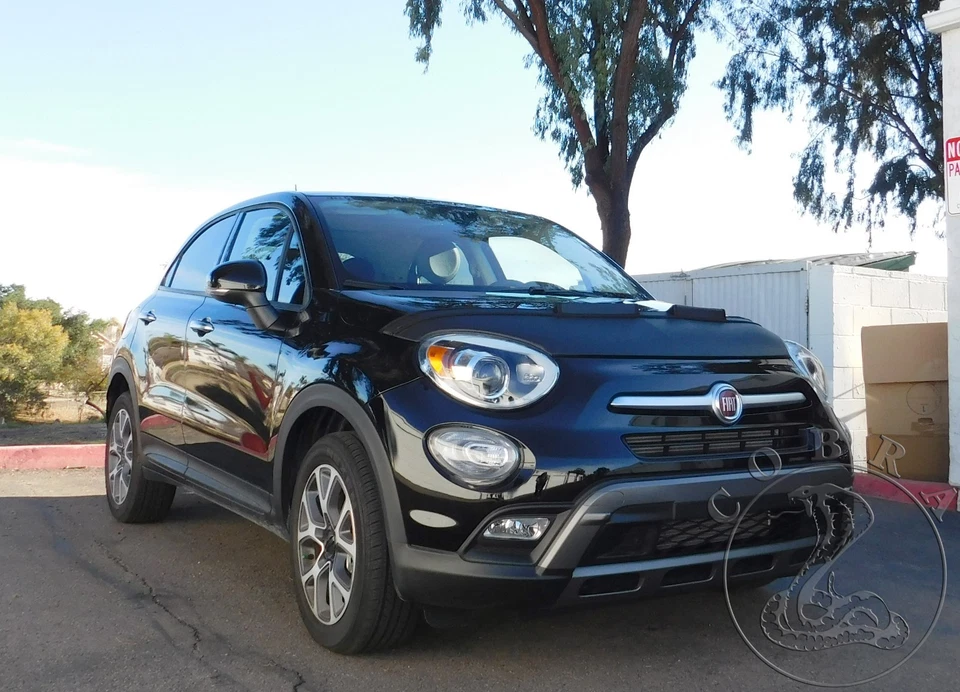 Sujetador capó máscara capó coche compatible con Fiat 500x 500 X 2016 2017 2018 2019 2020 Foto 2 de 4
