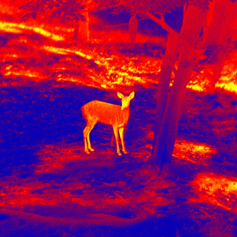 Rifle Scope Monocular Thermal Imaging Night Vision for Hunting Sighting Telescop eBay