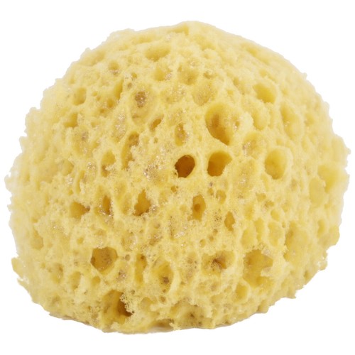Aqua Bath Sponge Luxury Bath & Body Soft Natural Sea Sponge