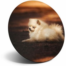 Awesome Fridge Magnet - Cute Pomeranian Puppy Dog Cool Gift #2693
