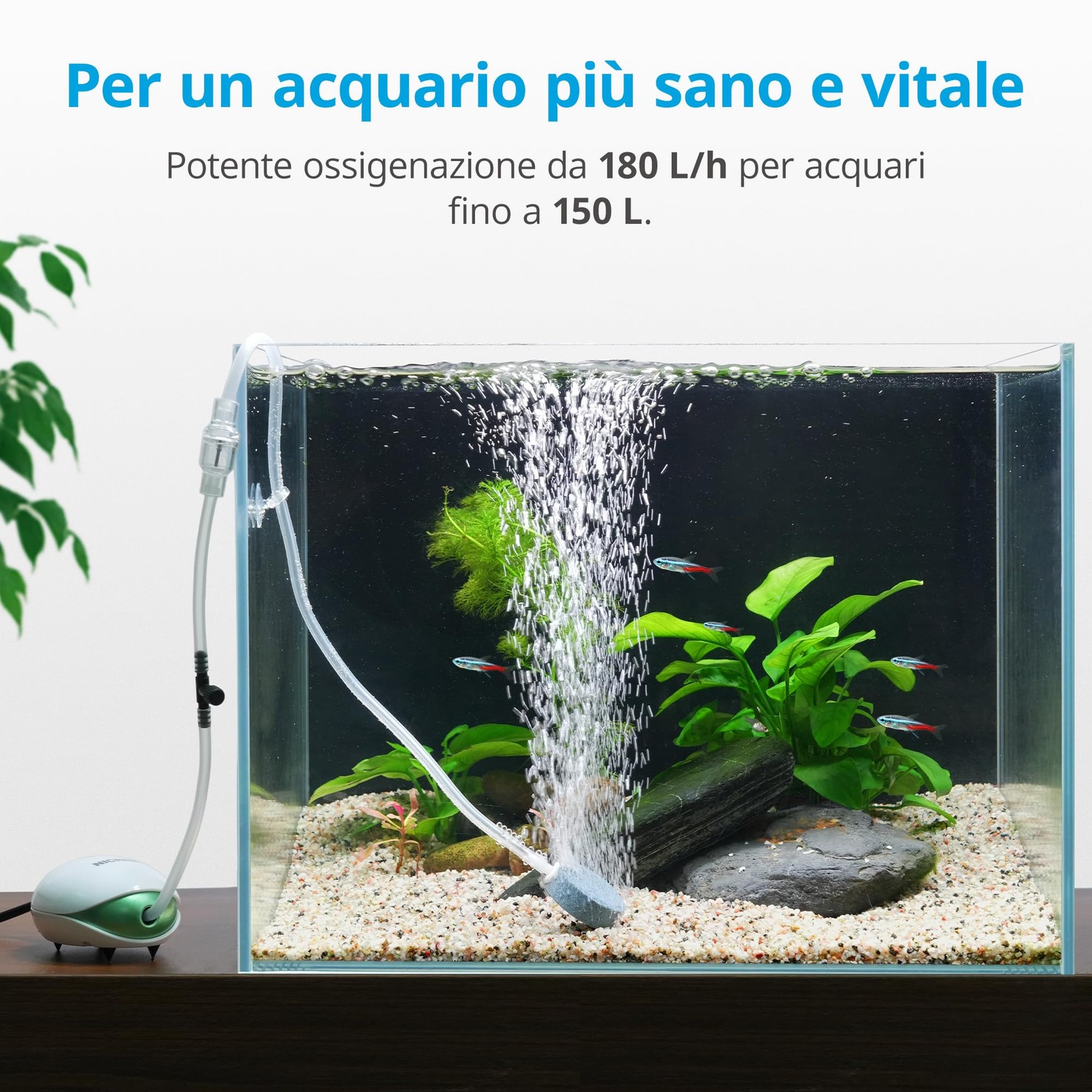 NICREW Ossigenatore Ultra Silenzioso per Acquari foto 2