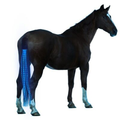 Schachtelhalm Lichter LED USB aufladbar 100CM Crupper Pferd Kleidung Zubehör
