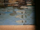Foto 8 di 10