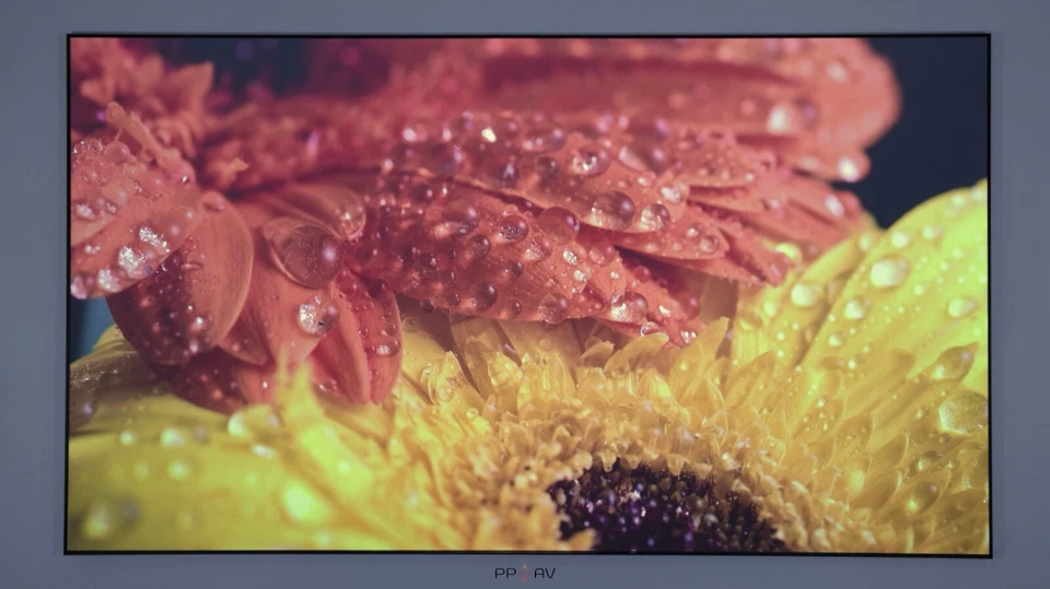 Acoustic Projector Screen UST ALR 80-200 inch 8K Fixed Frame - Phoenix Screens - Image 2 of 4