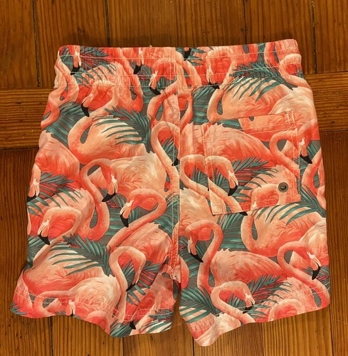Lot Of Boys Swim Trunks Small 6/7 Old Navy Carters Patriotic Flamingos Leaves - Picture 8 of 15