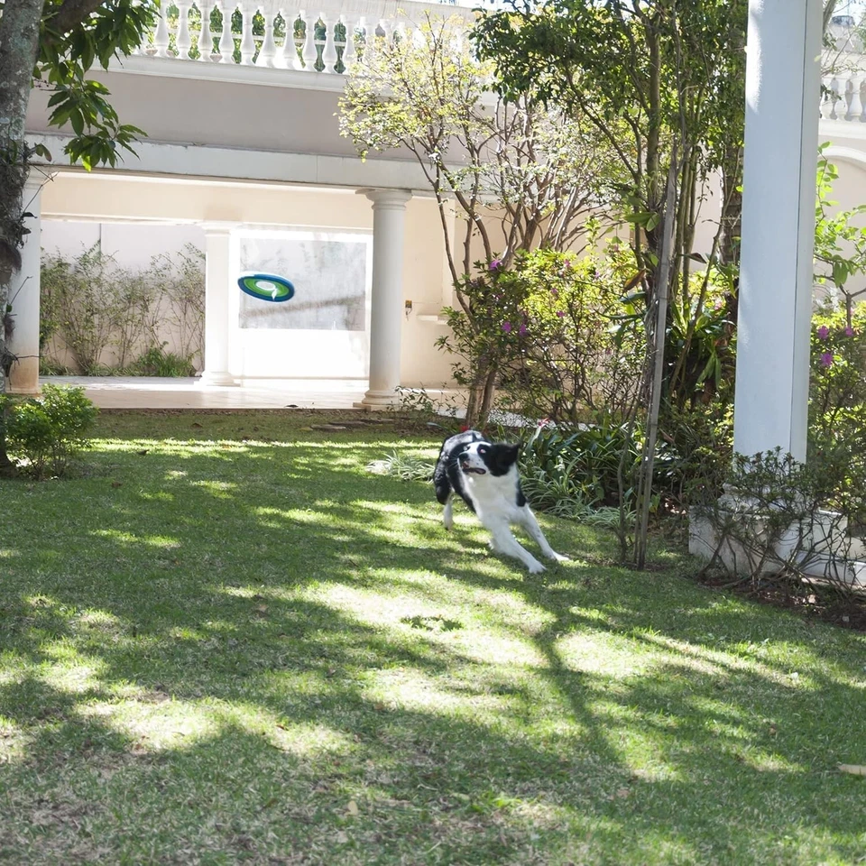 Chuckit! Disco volador Light Flight de 10 pulgadas para perros Foto 4 de 4