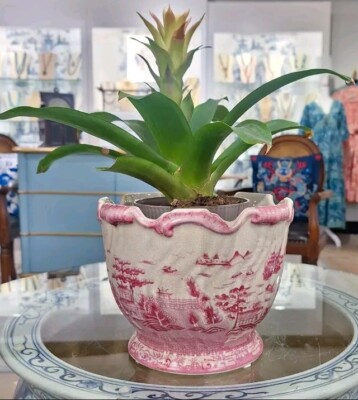 Vintage Style Pink & White Willow Porcelain Planter/Cachepot