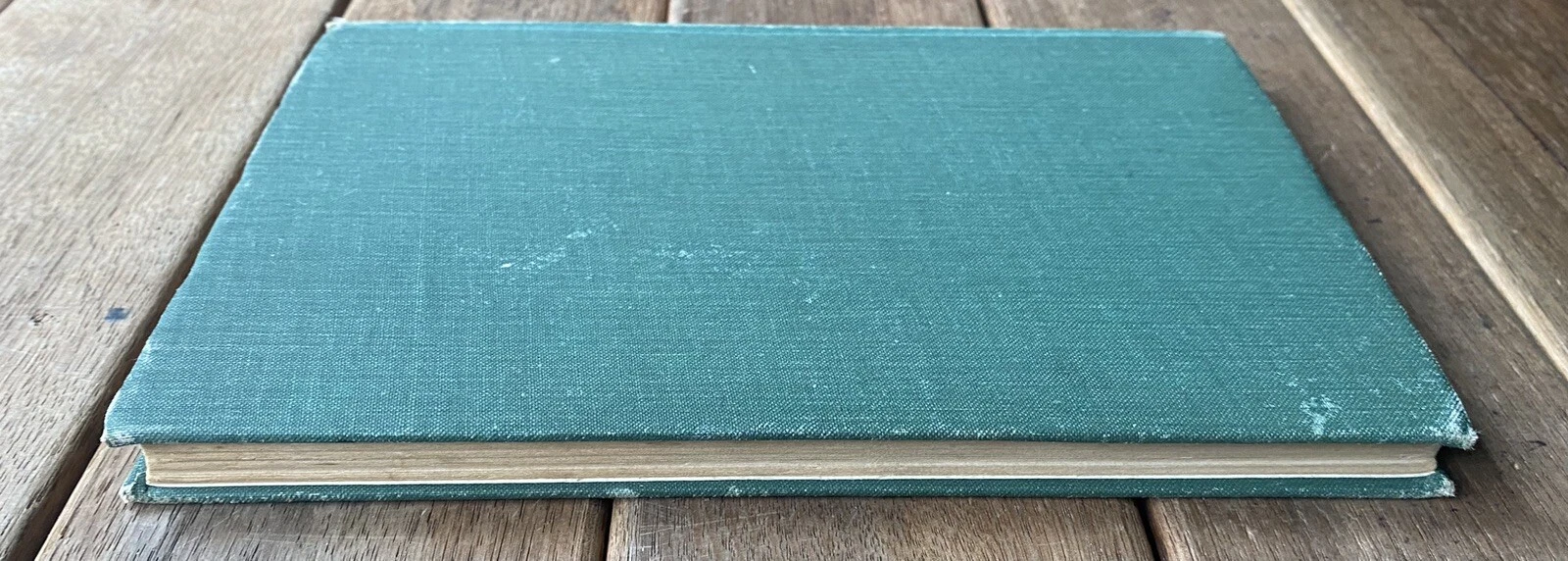 Picture 6 of 17