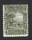 Newfoundland 1897 #64 Discovery of Newfoundland (Caribou Hunting) - Fine MH