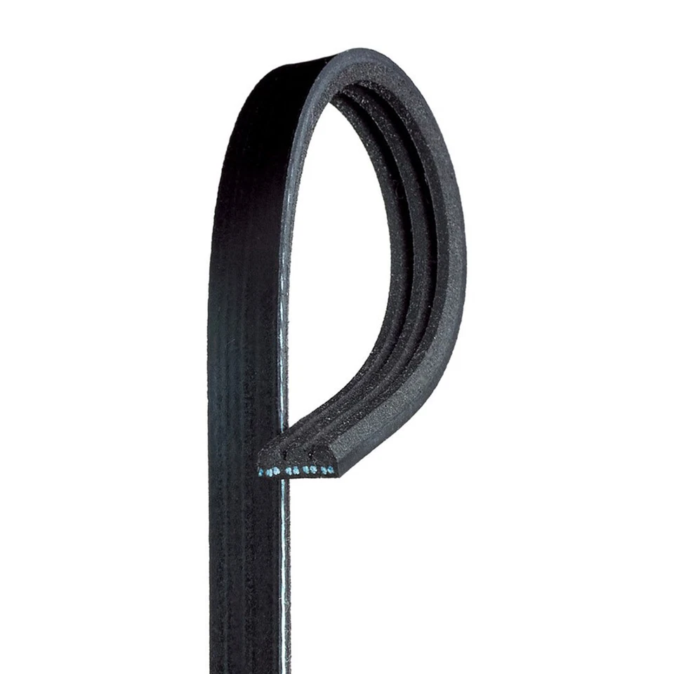 Cinturón serpentino Delco 3K243 CA nuevo para Olds De Ville Cadillac DeVille Volvo S60 Foto 2 de 4