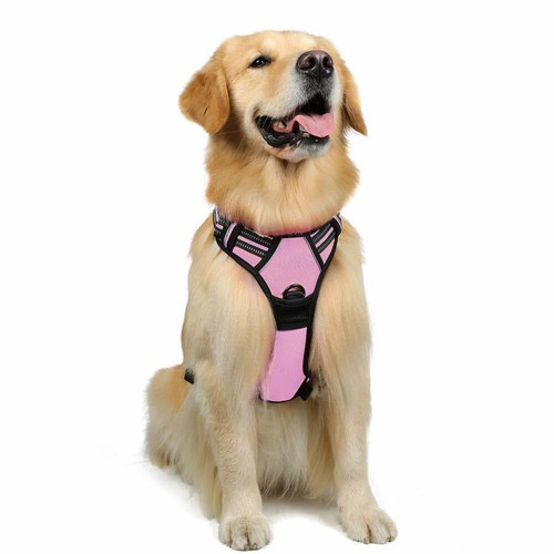 rabbitgoo No-Pull Pet Dog Harness with Handle Adjustable Reflective Padded Vest - Picture 15 of 30