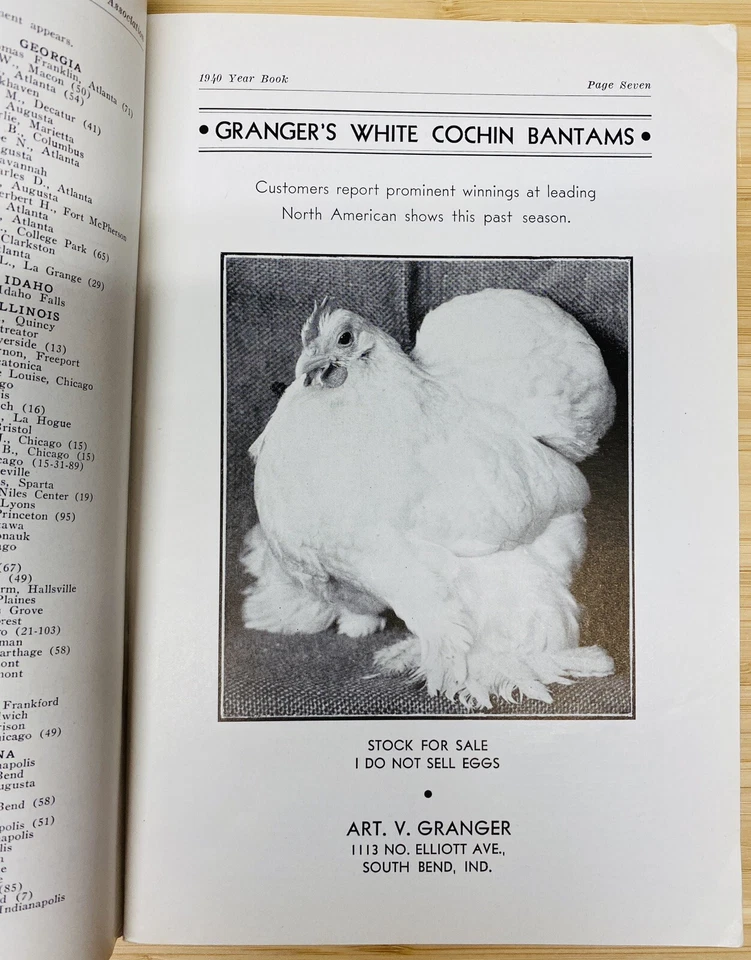 American Bantam Association- 1940 Year Book ~ Miniature Chicken Breeders Essays Foto 4 de 4