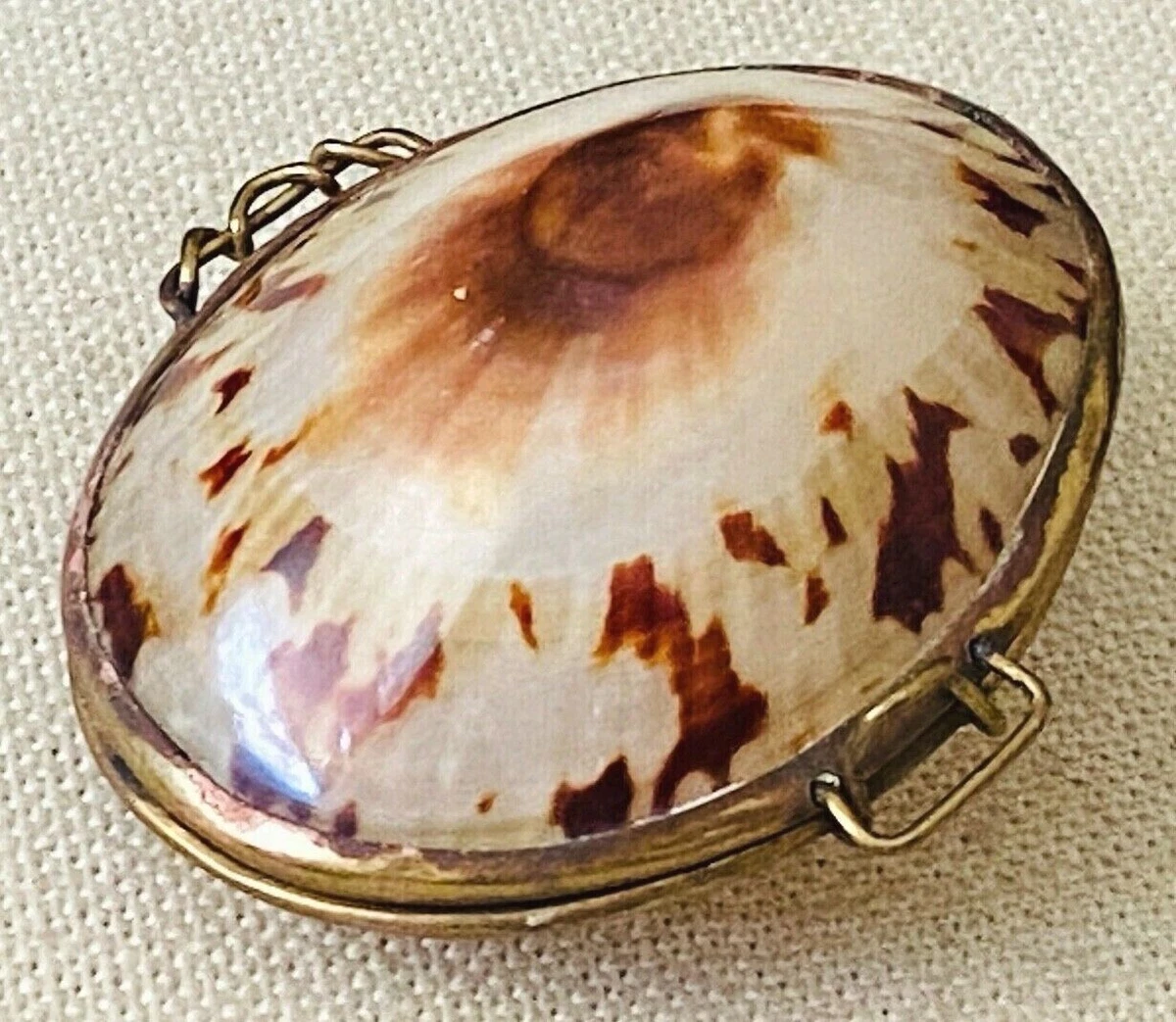 Vintage Antique Brass Hinged Cowrie Seashell Coin Purse Trinket