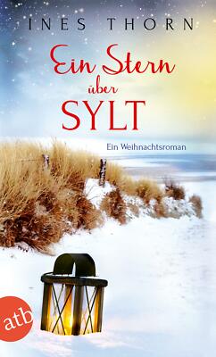 Ein Stern über Sylt von Ines Thorn (2017, Taschenbuch)