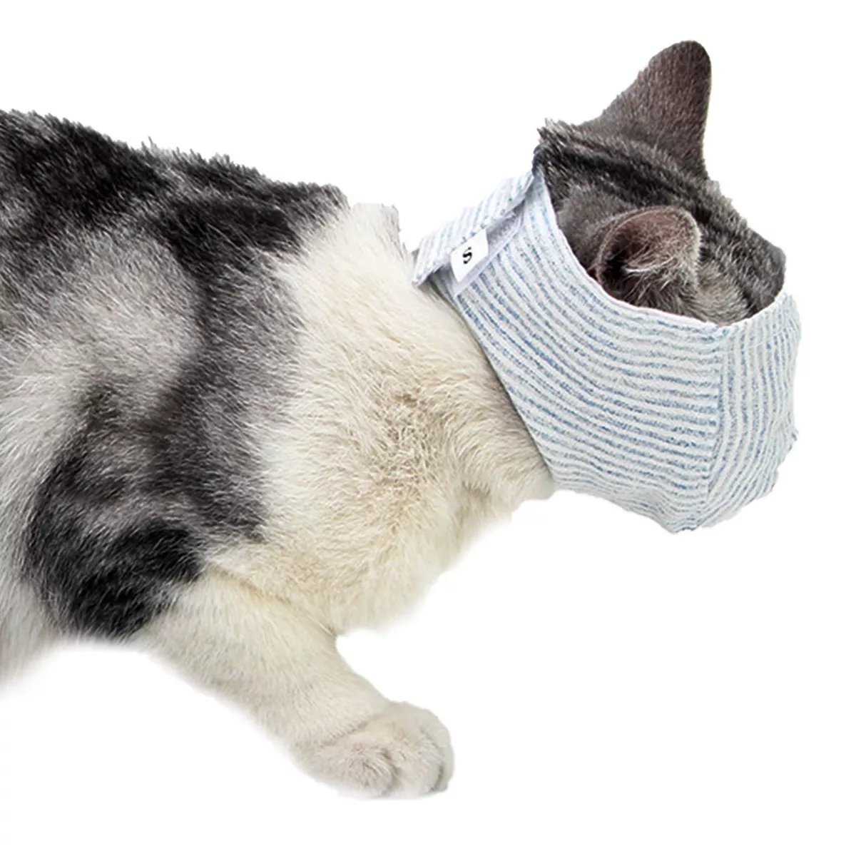 Can you muzzle a cat online