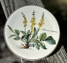 Villeroy Boch BOTANICA Tea Tile Trivet Plate Yellow Flowers AGRIMONIA EUPATORIA