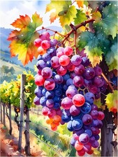 Tile Mural Tuscan Vineyard Grapes Kitchen Wall Art Backsplash Marble Ceramic