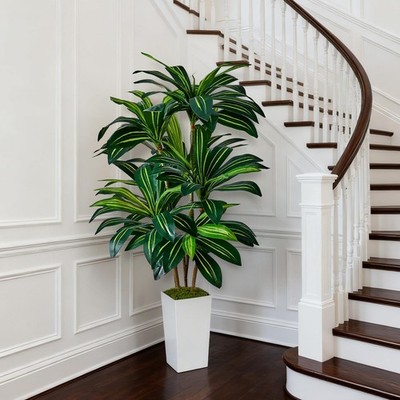 plant light indoor Sun Patch | Grow light for indoor plants and seedlings main image 0