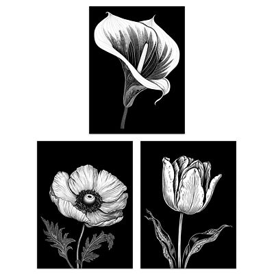 Elegante einzelne Tulpe Anemone Calla Lilie Blumen schwarz weiß A4 Poster 3er Pack