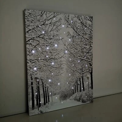 SAMUEL ALEXANDER 40 x 30cm Christmas Winter Avenue Fibre Optic Light Up Wall Canvas Picture